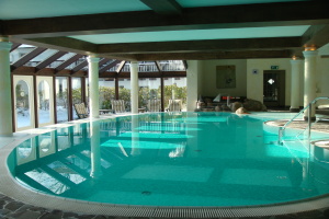 Forsthaus Damerow Pool