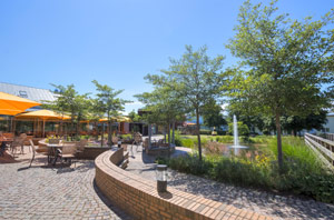 Terrasse Seeklause Trassenheide