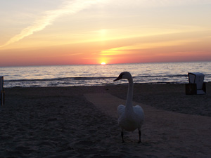 Karlshagen Sonnenaufgang